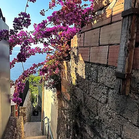 De Luxe Bord De Avec Vue Mer, Terrasse Et Parking Roquebrune-Cap-Martin